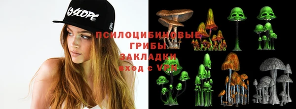 mix Алексин